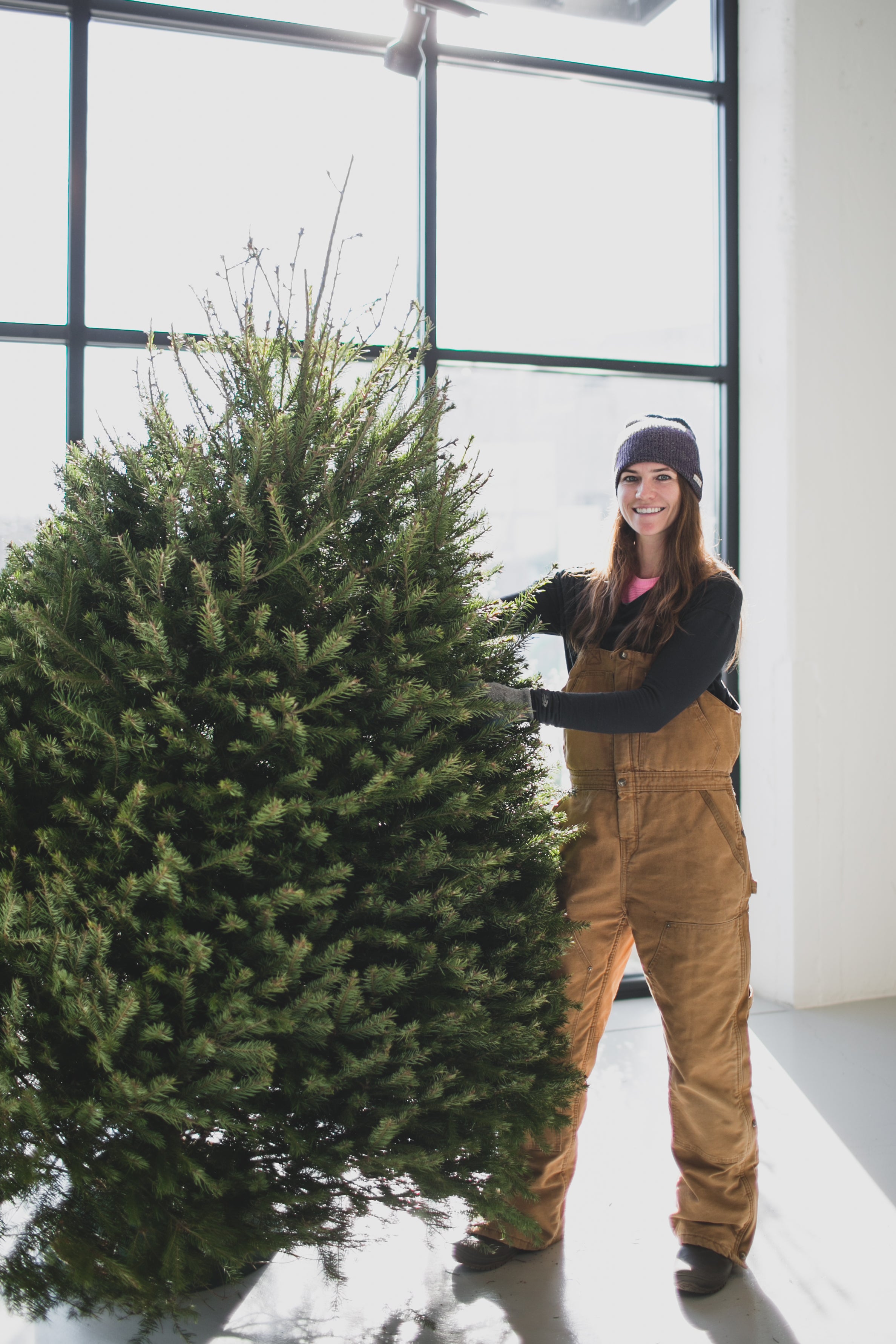 Fraser Fir Christmas Tree Delivery in Greater Philadelphia – The Christmas Tree Stand